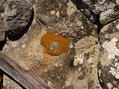 Survey marker at the island's high point, Deal Island